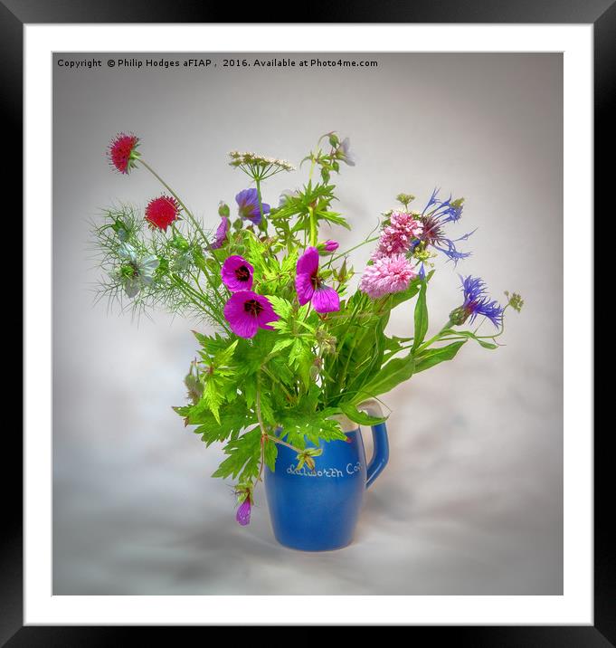 Wild Flowers Framed Mounted Print by Philip Hodges aFIAP ,