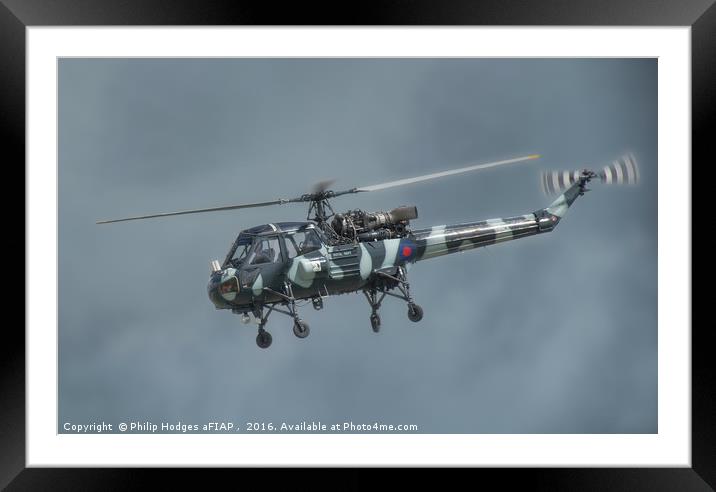 Westland Wasp HAS1 Framed Mounted Print by Philip Hodges aFIAP ,