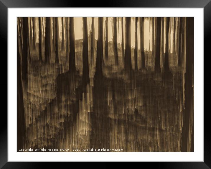 Shades of Somme Framed Mounted Print by Philip Hodges aFIAP ,