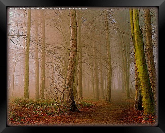  "MISTY WOOD" Framed Print by ROS RIDLEY
