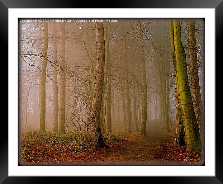  "MISTY WOOD" Framed Mounted Print by ROS RIDLEY