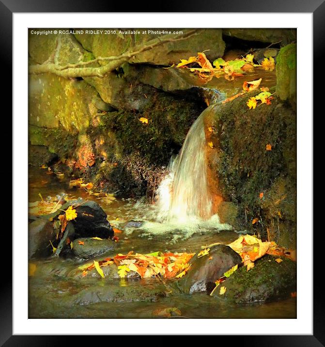 "AUTUMN WATERFALL"  Framed Mounted Print by ROS RIDLEY