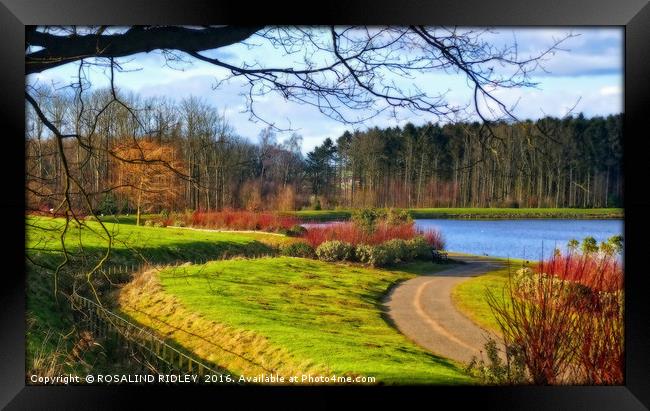 "PATH TO THE LAKE" Framed Print by ROS RIDLEY