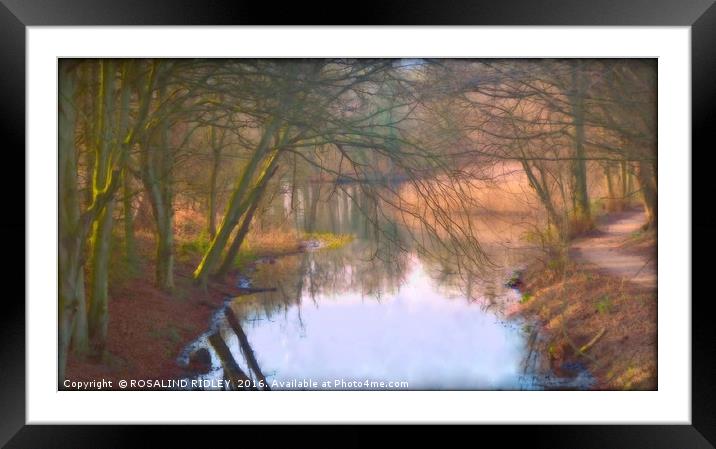 "EVENING LIGHT  AND REFLECTIONS ON THE LAKE" Framed Mounted Print by ROS RIDLEY
