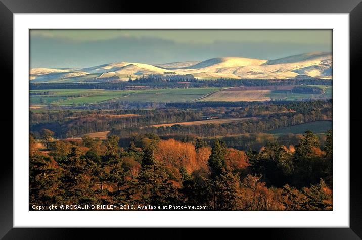 "EVENING LIGHT ON THE SNOW TOPPED CHEVIOTS" Framed Mounted Print by ROS RIDLEY
