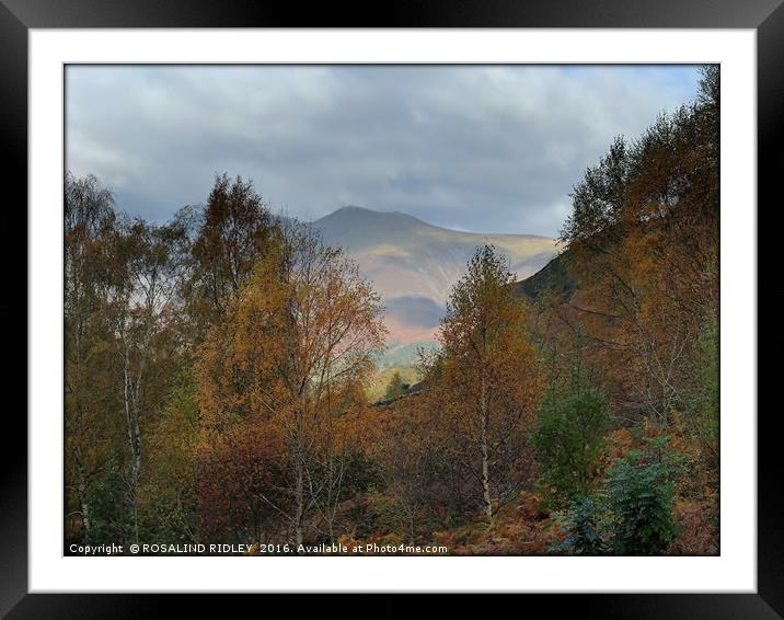 "AUTUMN IN THE ENGLISH LAKE DISTRICT" Framed Mounted Print by ROS RIDLEY