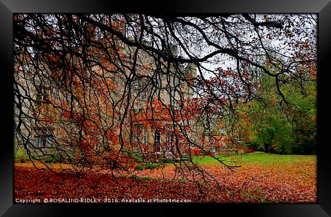 "OTTERBURN CASTLE THROUGH THE AUTUMN LEAVES" Framed Print by ROS RIDLEY