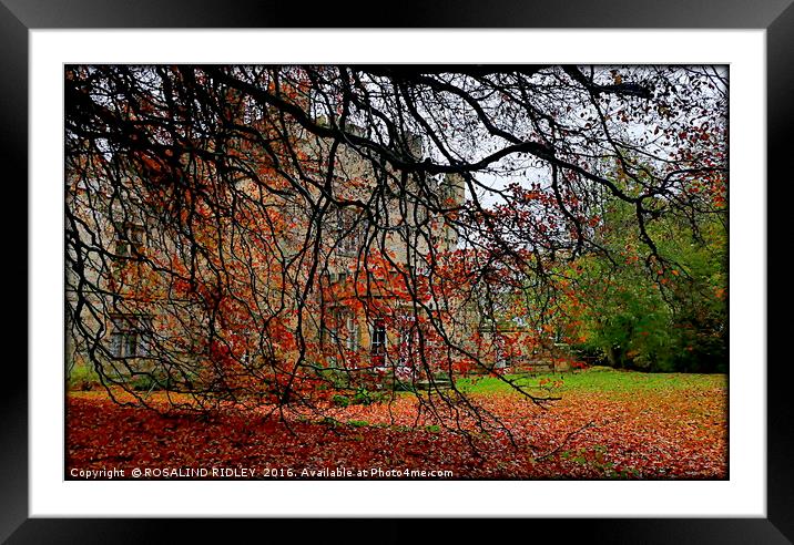 "OTTERBURN CASTLE THROUGH THE AUTUMN LEAVES" Framed Mounted Print by ROS RIDLEY