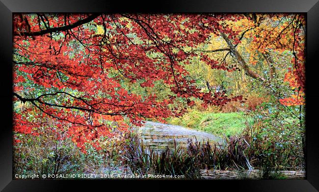 "TREES AT THE LAKE SIDE " Framed Print by ROS RIDLEY