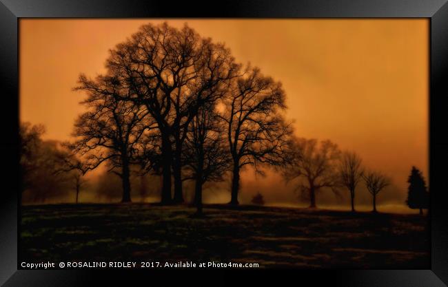"EVENING LIGHT IN THE MISTY PARK" Framed Print by ROS RIDLEY