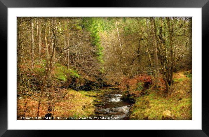 "THE MAGIC OF THE FOREST" Framed Mounted Print by ROS RIDLEY