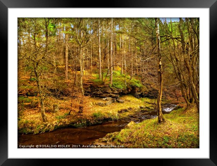 "MAGIC OF THE FOREST 2 " Framed Mounted Print by ROS RIDLEY