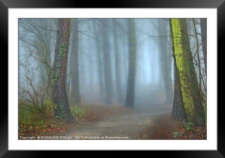 "A CHINK OF LIGHT IN A MISTY WOOD" Framed Mounted Print by ROS RIDLEY
