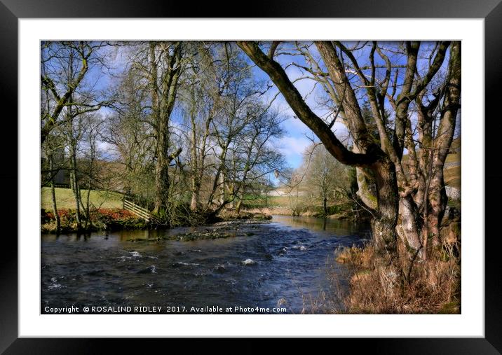 "ALONG THE RIVER SKIRFARE NEAR ARNCLIFFE , WHARFDA Framed Mounted Print by ROS RIDLEY