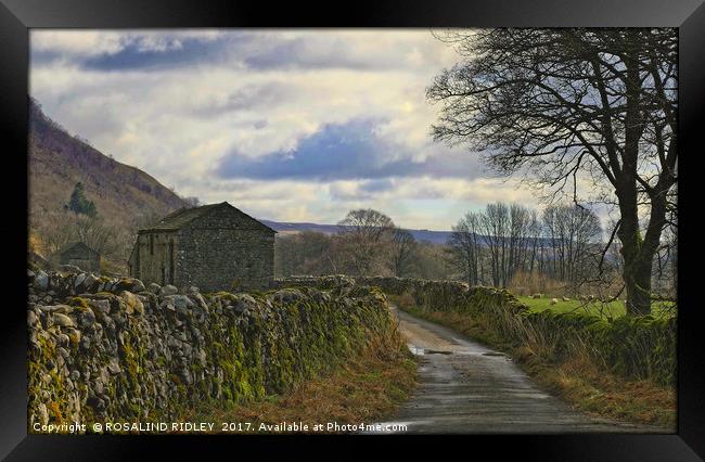 "Stone barns in the Yorkshire Dales"" Framed Print by ROS RIDLEY