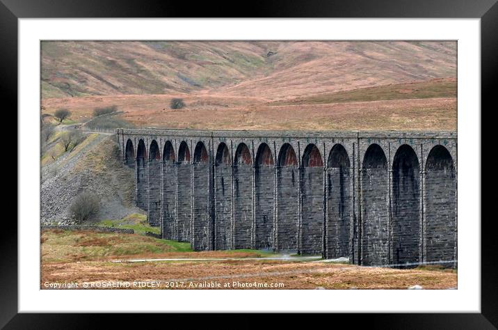 "Ribblehead Viaduct" Framed Mounted Print by ROS RIDLEY