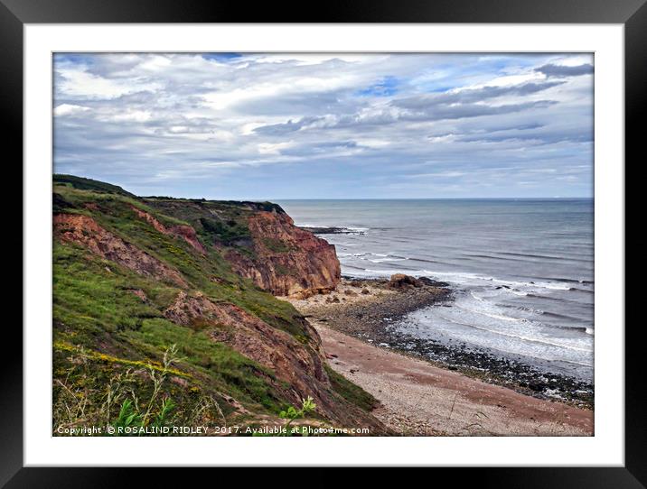 "The Magnesium Limestone Cliffs at Easington Colli Framed Mounted Print by ROS RIDLEY