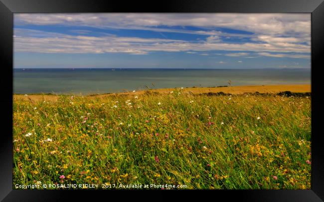 "Wild flowers , cornfields and blue sea" Framed Print by ROS RIDLEY