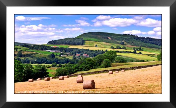"Hay Bales in the Dales" Framed Mounted Print by ROS RIDLEY