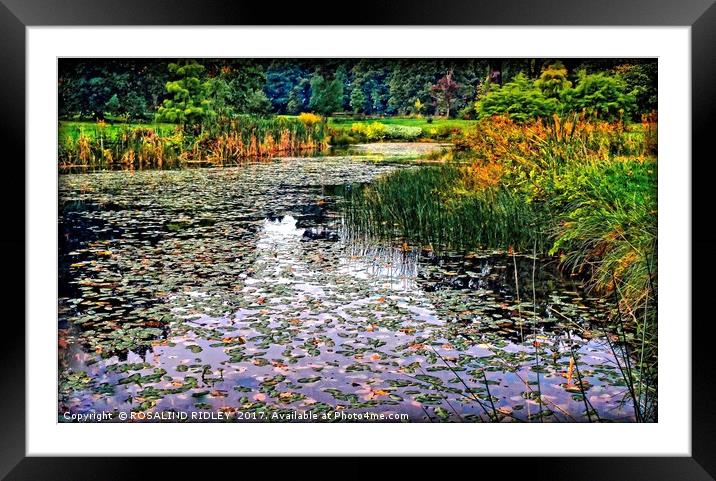 " Autumn Leaves on the lake" Framed Mounted Print by ROS RIDLEY