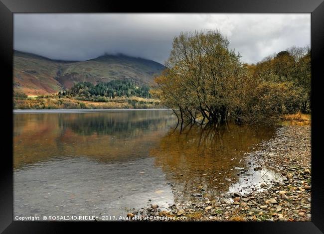 "Storm clouds over Helvellyn" Framed Print by ROS RIDLEY