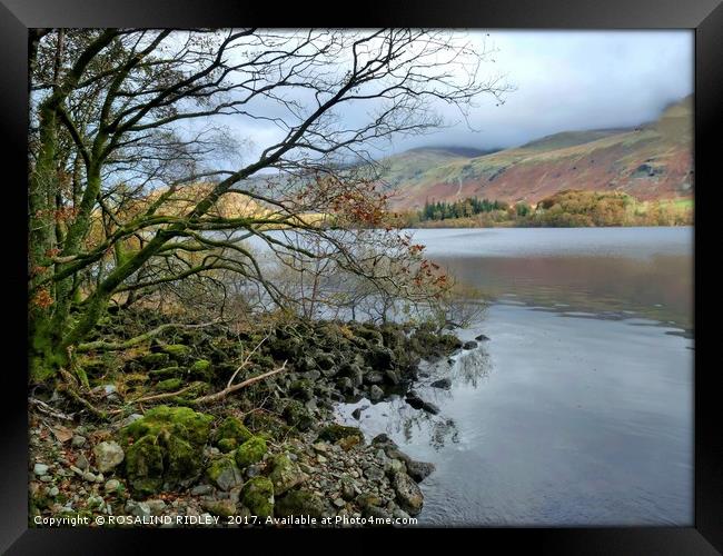 "Lake Thirlmere" Framed Print by ROS RIDLEY