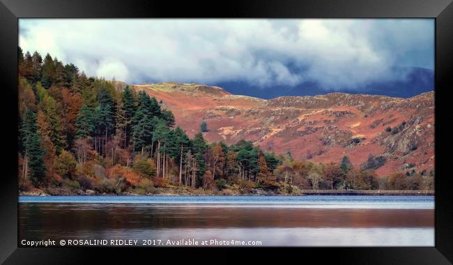 "Evening light and stormy skies" Framed Print by ROS RIDLEY