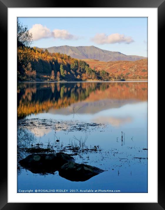 "Across Blencathra from Thirlmere" Framed Mounted Print by ROS RIDLEY