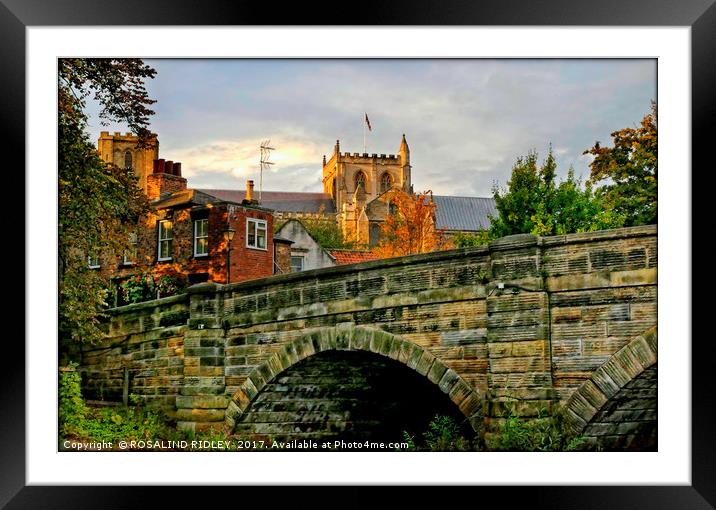 "Evening light over Ripon Cathedral" Framed Mounted Print by ROS RIDLEY