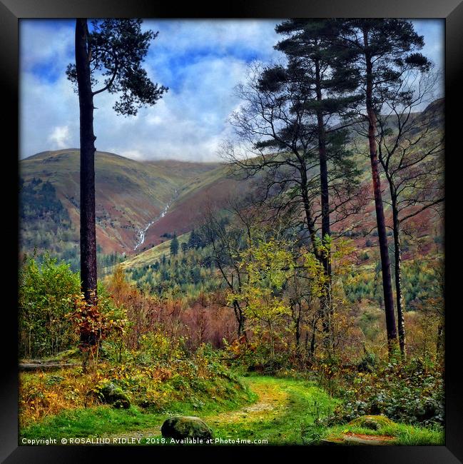 "Pathway to Thirlmere" Framed Print by ROS RIDLEY