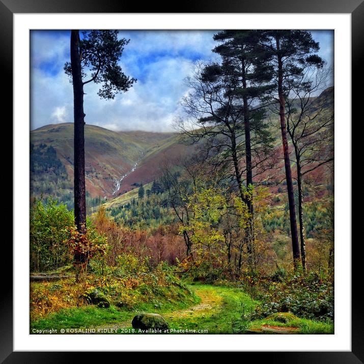 "Pathway to Thirlmere" Framed Mounted Print by ROS RIDLEY