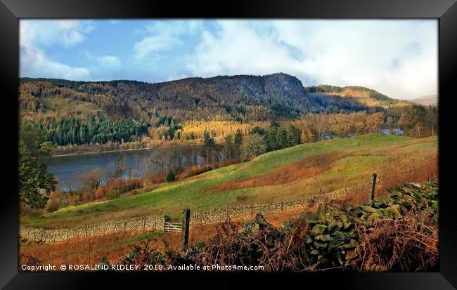 "Beautiful morning overlooking Thirlmere" Framed Print by ROS RIDLEY