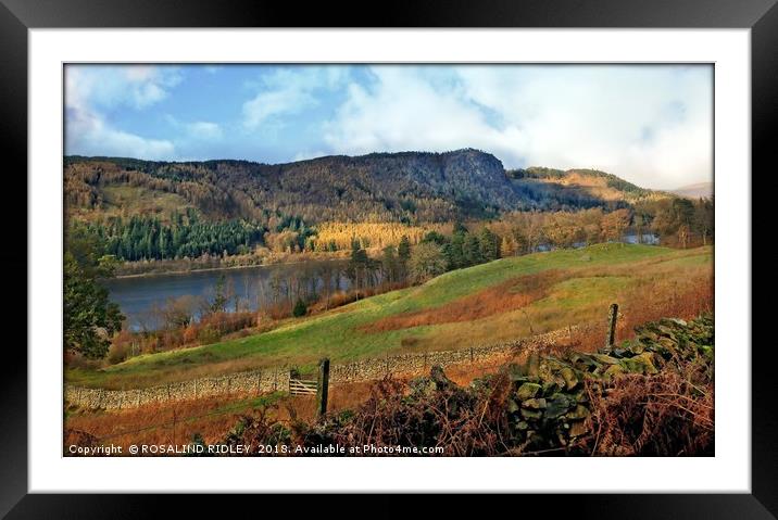 "Beautiful morning overlooking Thirlmere" Framed Mounted Print by ROS RIDLEY