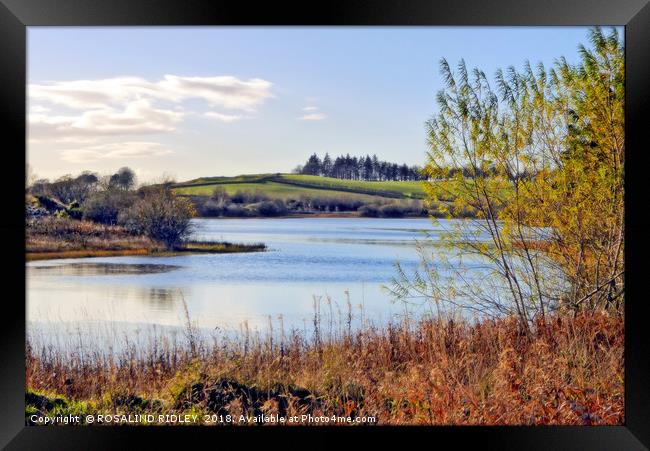 "Autumn at Loch Linden" Framed Print by ROS RIDLEY