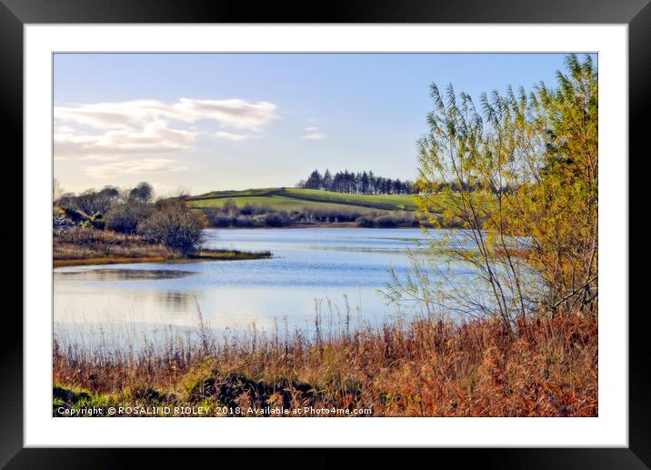 "Autumn at Loch Linden" Framed Mounted Print by ROS RIDLEY