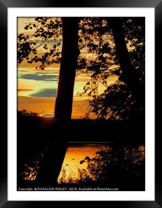 "Sunset across the lake" Framed Mounted Print by ROS RIDLEY