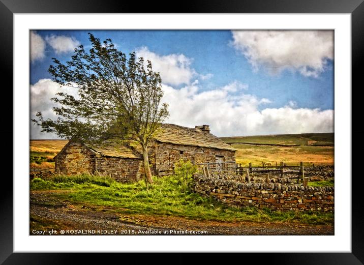 "Windy day on the moors" Framed Mounted Print by ROS RIDLEY