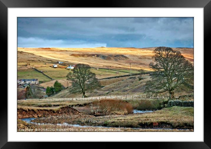 "Evening sun across Weardale" Framed Mounted Print by ROS RIDLEY