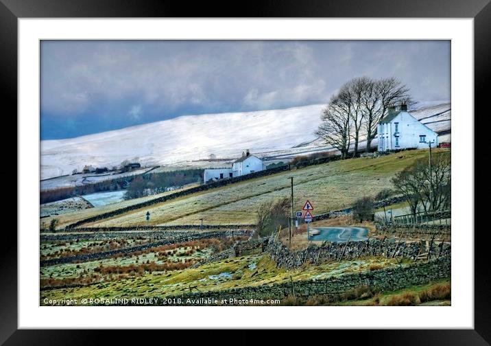 "A drive through Teesdale" Framed Mounted Print by ROS RIDLEY