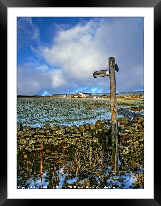 "Which way to turn" Framed Mounted Print by ROS RIDLEY