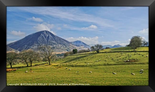 "Sunshine on the mountains" Framed Print by ROS RIDLEY