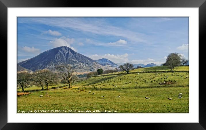 "Sunshine on the mountains" Framed Mounted Print by ROS RIDLEY