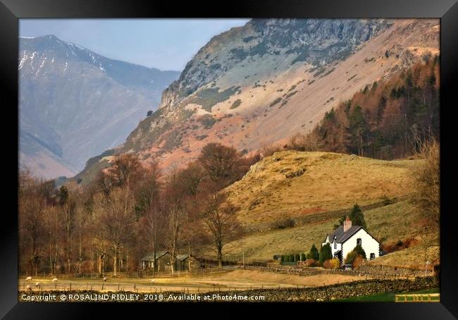 "Evening light Blencathra 2" Framed Print by ROS RIDLEY