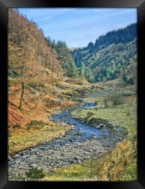 "Stream in Whinlatter Forest" Framed Print by ROS RIDLEY