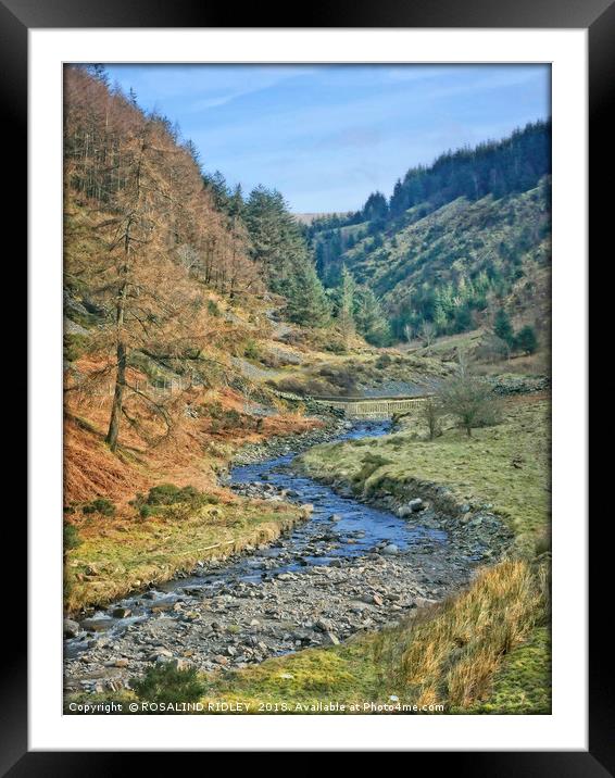 "Stream in Whinlatter Forest" Framed Mounted Print by ROS RIDLEY