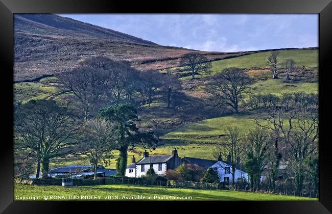 "Midday Winter sun on Loweswater Village" Framed Print by ROS RIDLEY