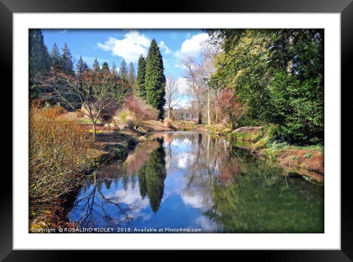"Reflections at Thorp Perrow" Framed Mounted Print by ROS RIDLEY