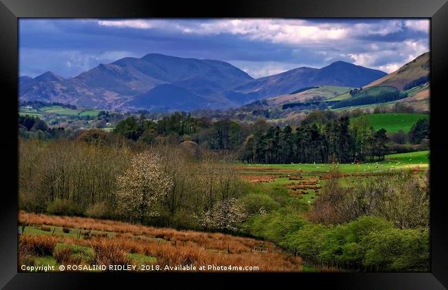 "Colours of Cumbria 2" Framed Print by ROS RIDLEY