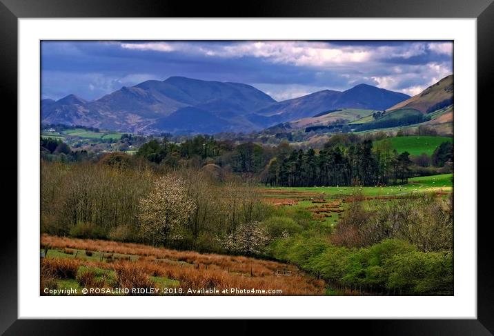 "Colours of Cumbria 2" Framed Mounted Print by ROS RIDLEY