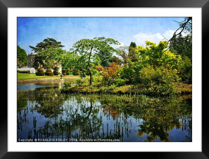 "Tree reflections at the Lake" Framed Mounted Print by ROS RIDLEY